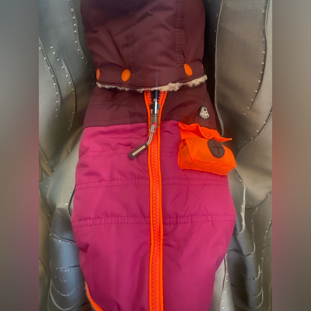 Dog Jacket New